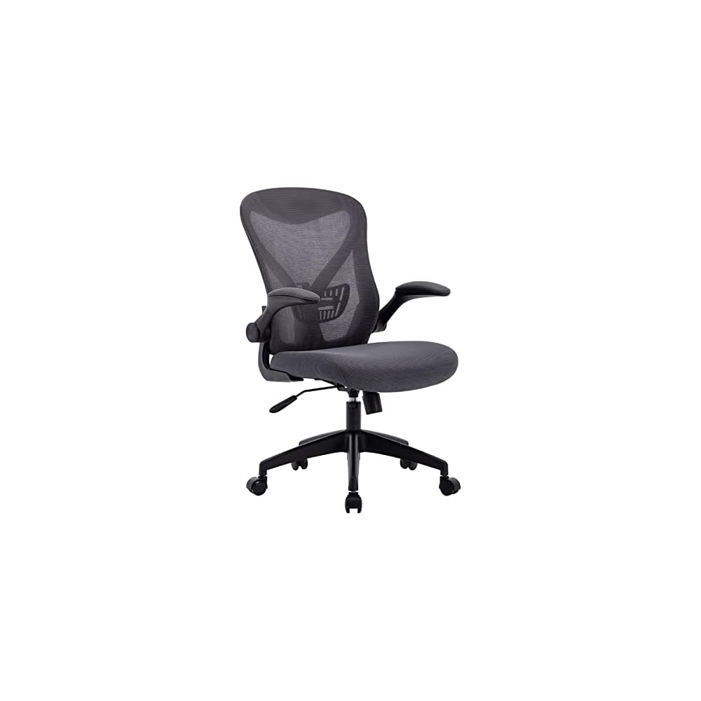 Ergonomic Office Chair for Home Work, Reversible Desk Chair with Lumbar Support, Height Adjustable Computer Chair, Mesh Swivel Executive Chair with Firm Seat Cushion (Color: B) (G)