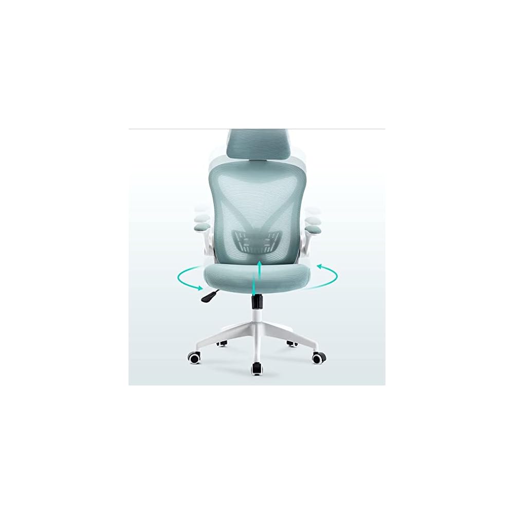 Ergonomic Office Chair for Home Work, Reversible Desk Chair with Lumbar Support, Height Adjustable Computer Chair, Mesh Swivel Executive Chair with Firm Seat Cushion (Color: B) (G)