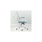 Ergonomic Office Chair for Home Work, Reversible Desk Chair with Lumbar Support, Height Adjustable Computer Chair, Mesh Swivel Executive Chair with Firm Seat Cushion (Color: B) (G)