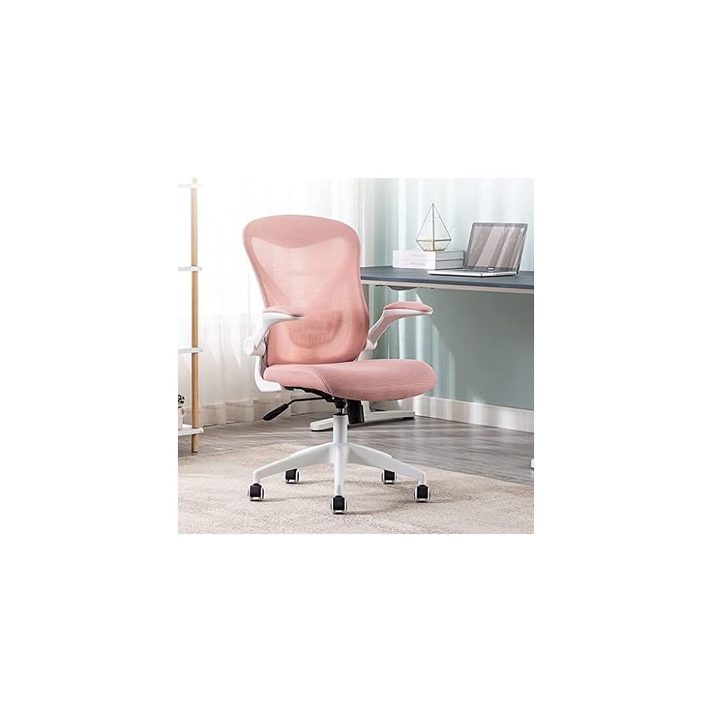 Ergonomic Office Chair for Home Work, Reversible Desk Chair with Lumbar Support, Height Adjustable Computer Chair, Mesh Swivel Executive Chair with Firm Seat Cushion (Color: B) (G)