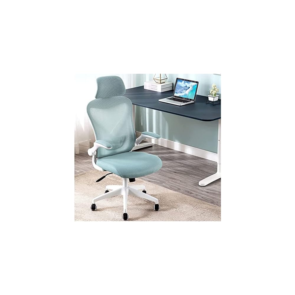 Ergonomic Office Chair for Home Work, Reversible Desk Chair with Lumbar Support, Height Adjustable Computer Chair, Mesh Swivel Executive Chair with Firm Seat Cushion (Color: B) (G)
