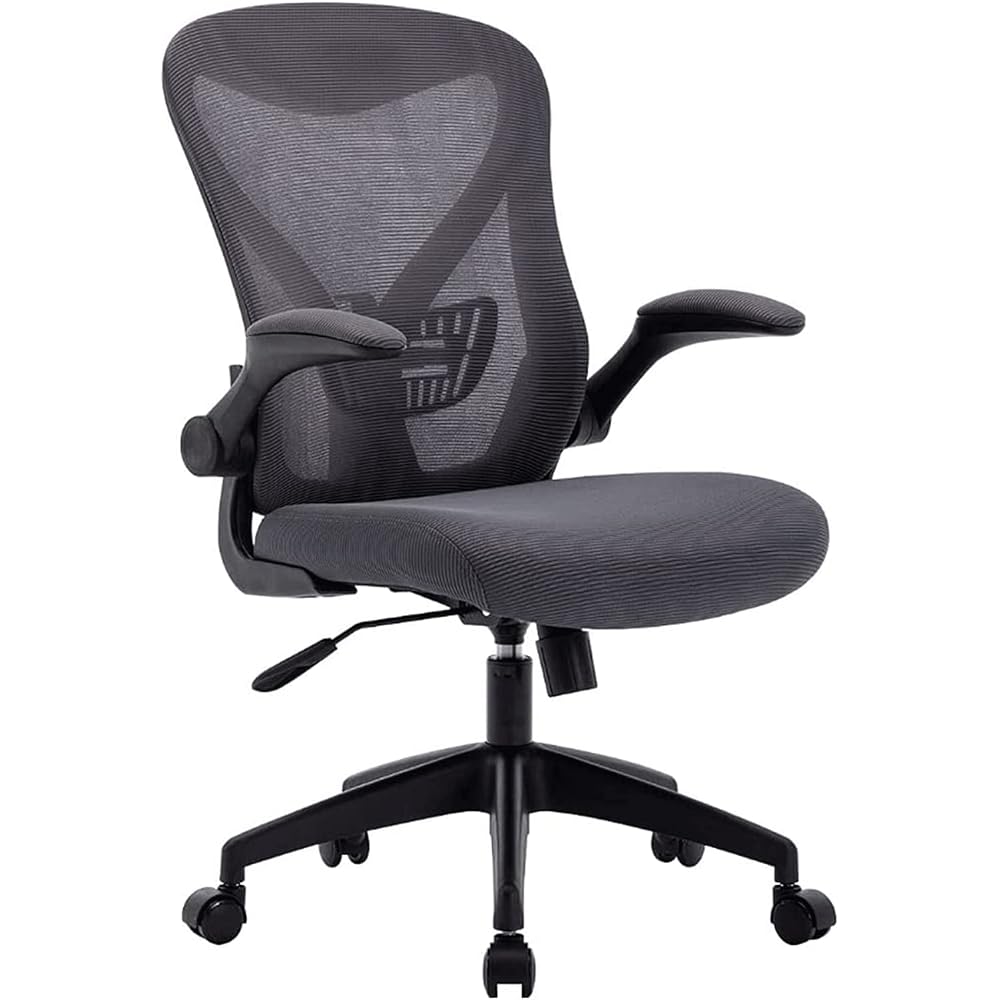 Ergonomic Office Chair for Home Work, Reversible Desk Chair with Lumbar Support, Height Adjustable Computer Chair, Mesh Swivel Executive Chair with Firm Seat Cushion (Color: B) (G)